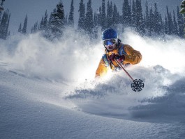 下载体育app客户端