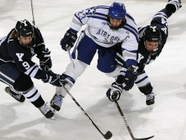 易倍emc官网极速版