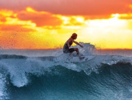 im电竞官网下载